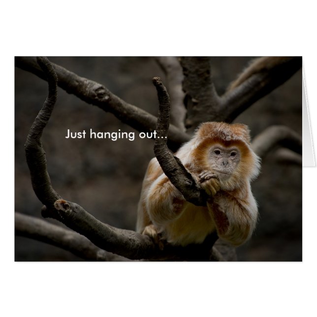 Bara hänger ut... hälsningskort (Framsidan Horizontal)