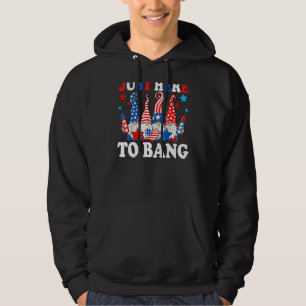 Bara här för att bang 4:e juli Fireworks American Hoodie