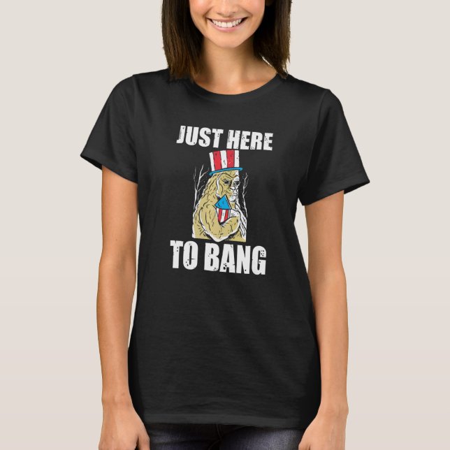Bara här för att bang America Fireworks T Shirt (Framsida)
