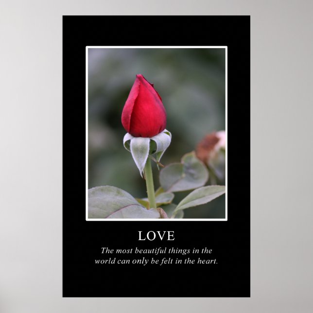 Bara hjärtat vet hur vacker den är poster (Framsidan)