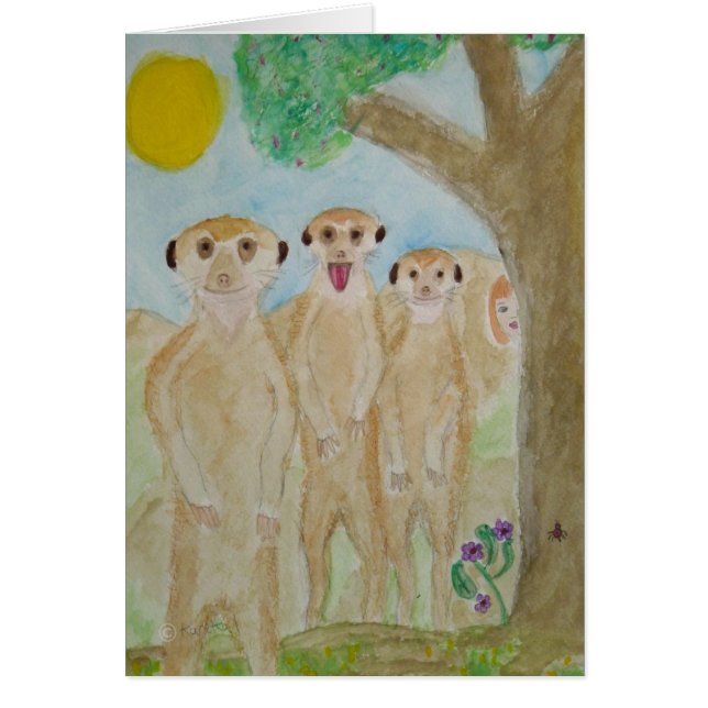 bara kats OBS kort (Framsidan)