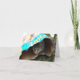 Bara katter och kattungar - tomt kort