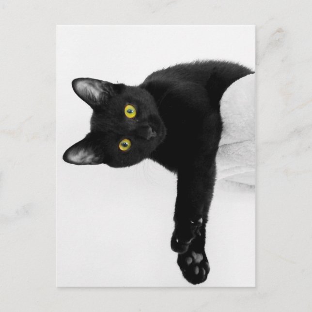 Bara kylig.. vykort (Framsida)