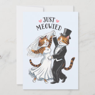 Bara Meowied Married Par Cat Funny Bröllop Julkort