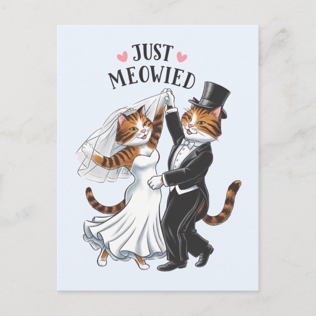 Bara Meowied Nygifta Par Katt Roligt Bröllop Vykort (Framsida)