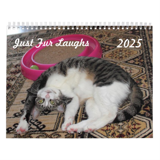 Bara Päls Laughs Calendar Kalender (Omslag)