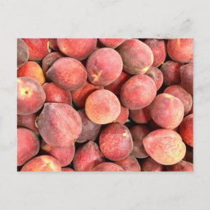 Bara Peachy Vykort