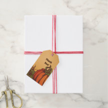 Bara pumpa en i fält. Höst löv faller.