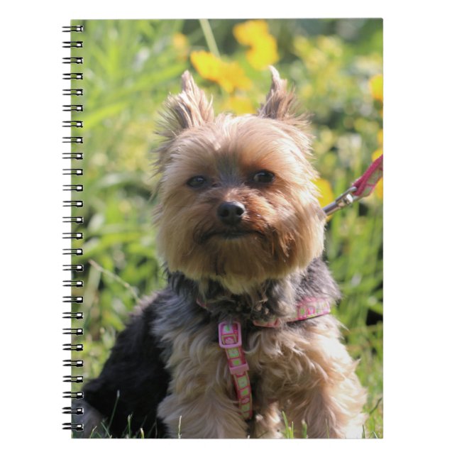 Bara ren älskling anteckningsbok (Framsidan)