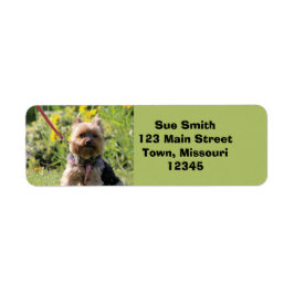 Bara ren älskling returadress etikett