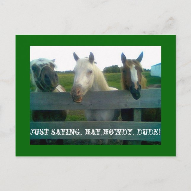 Bara så du vet, hö, hej, kompis! vykort (Framsida)