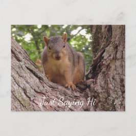 Bara säga hej, Cute Squirrel i Träd Vykort