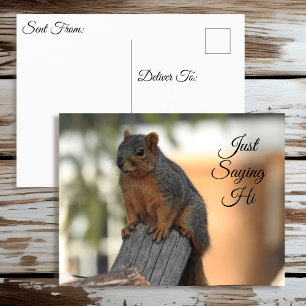 Bara säga hej Cute Squirrel Photo Vykort