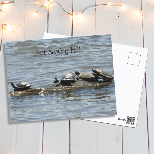 Bara säga hej, Cute Turtles Sunbad på logg Vykort (Skapare uppladdad)