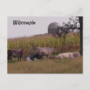 Bara säga hej från Wisconn Cows and Farm Vykort