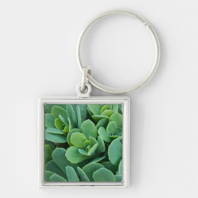 Bara Sedum Fyrkantig Silverfärgad Nyckelring (Framsidan)