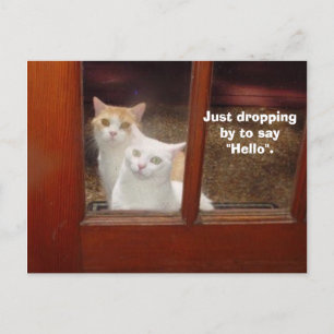 Bara släppa efter vykort