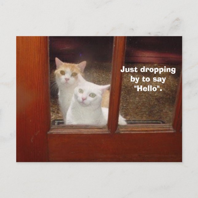 Bara släppa efter vykort (Framsida)