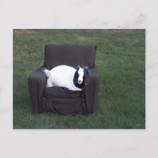 Bara slappna av vykort