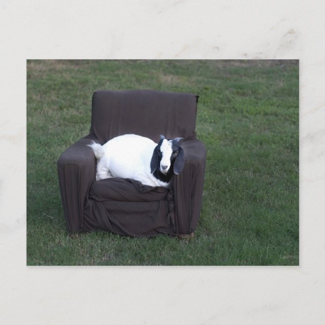 Bara slappna av vykort (Framsida)