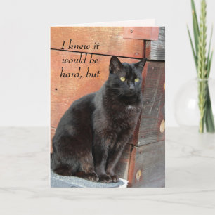 Bara svart katt utan ditt kort