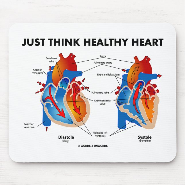 Bara Tänka Healthy Heart (Diastole Systal) Musmatta (Framsidan)