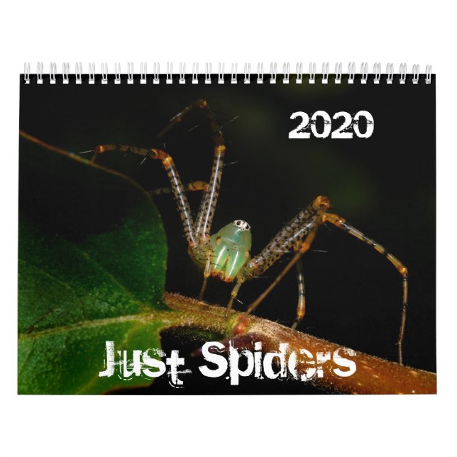 Bara tidningen Spiders, 2020 Kalender (Omslag)