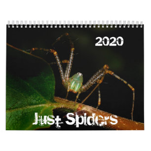 Bara tidningen Spiders, 2020 Kalender