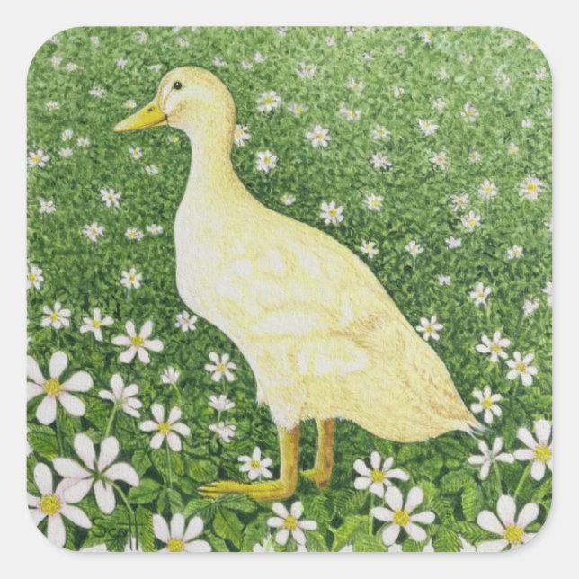 Bara Tittar Fyrkantigt Klistermärke (Framsida)