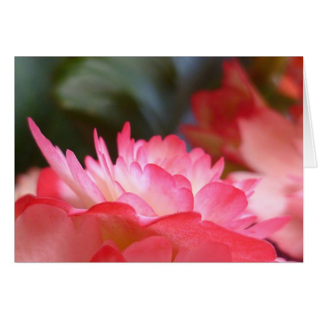 Bara tre Sak OBS Kort (Framsidan Horizontal)