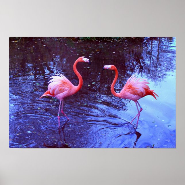 Bara två flamingos poster (Framsidan)