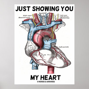 Bara visa dig mitt hjärta (hjärtanatomi) poster