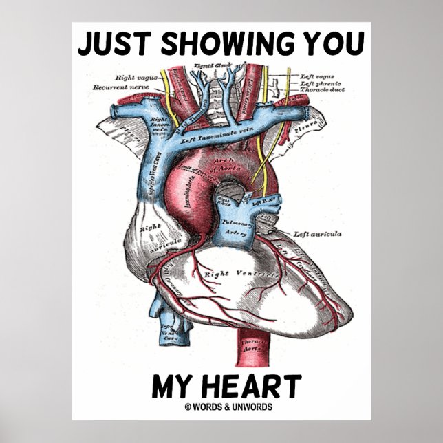 Bara visa dig mitt hjärta (hjärtanatomi) poster (Framsidan)
