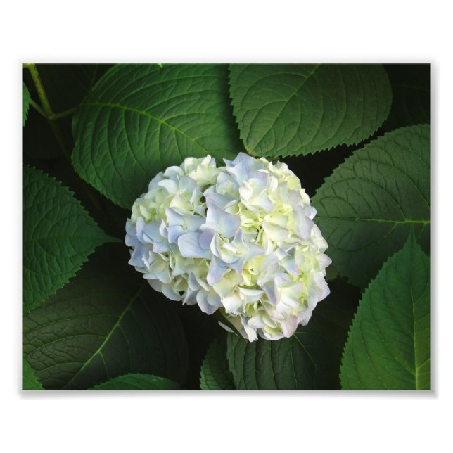 Bara WOW! Fototryck (Framsidan)