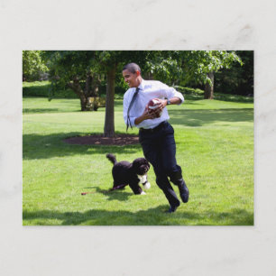 Barack & Bo Obama Vykort
