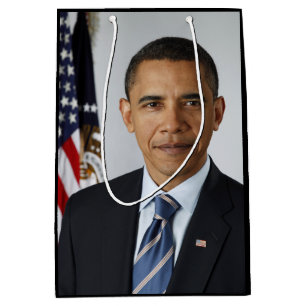 Barack Obama USA:s president Vita Huset Porträtt