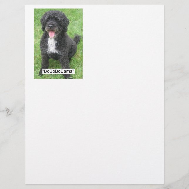 Barack Obama Vatten Hund (Framsida)