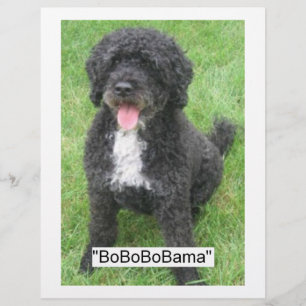 Barack Obama Vatten Hund Reklamblad