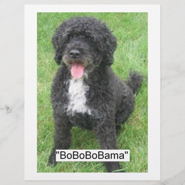 Barack Obama Vatten Hund Reklamblad (Framsidan)