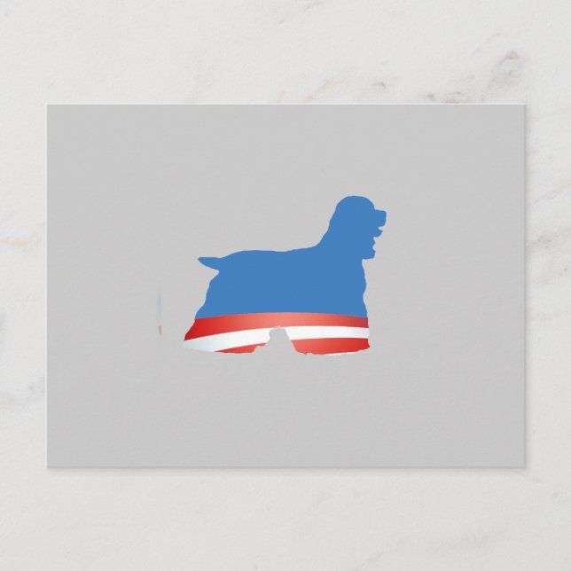 BARACKER SPANIEL VYKORT (Framsida)