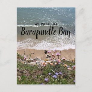 Barafundle Bay Pembrokeshire Wales Landskap Foto Vykort