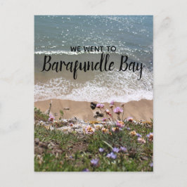 Barafundle Bay Pembrokeshire Wales Landskap Foto Vykort