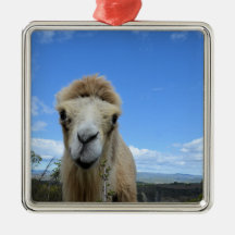 Baraka Smiling Camel Ornament