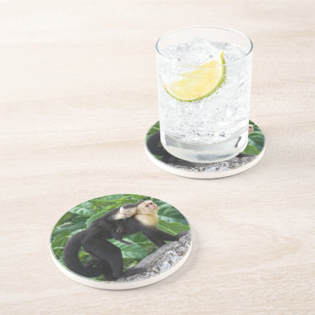 Bärande baby för vuxen Capuchinapa på dess baksida Underlägg Sandsten (Sidan)