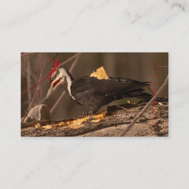 Bärare, träarbetare, skåp, tvåsidig visitkort (Framsida)