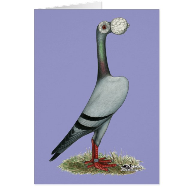 Bärareduva 2012 OBS kort (Framsidan)