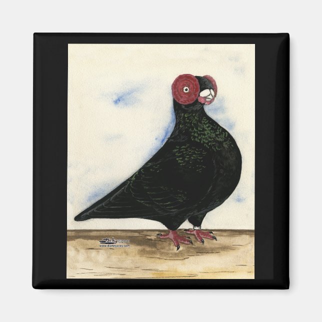 Barb Pigeon Watercolor Magnet (Framsidan)