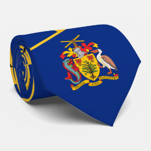 Barbadian Flagga & Jacka of Arm, Flagga of Barbado Slips