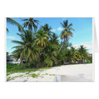 Barbados 2010 279 hälsningskort