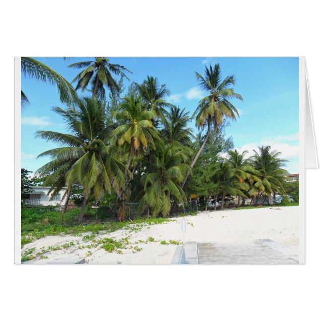 Barbados 2010 279 hälsningskort (Framsidan Horizontal)